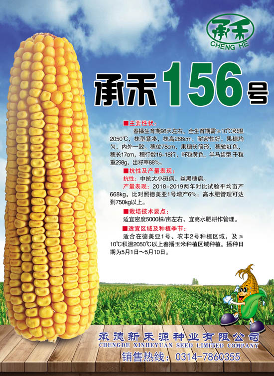 禾源156玉米种子