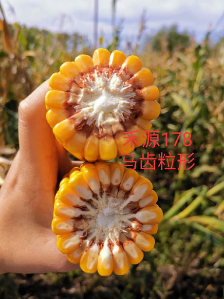 禾源178